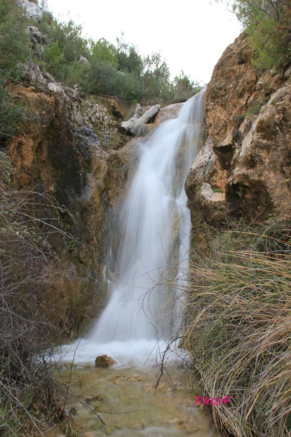 Alojamiento aguasblanquillas Coto Ríos Exterior foto